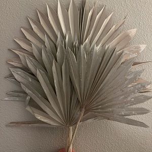 Palm Leaf - Dried Sun Palm White (5 stems)